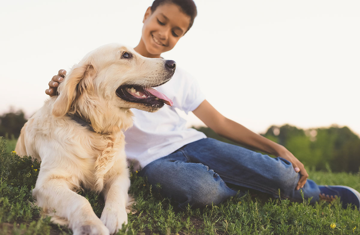 El Golden es buen perro para niños con TDH, autismo, asperger... 