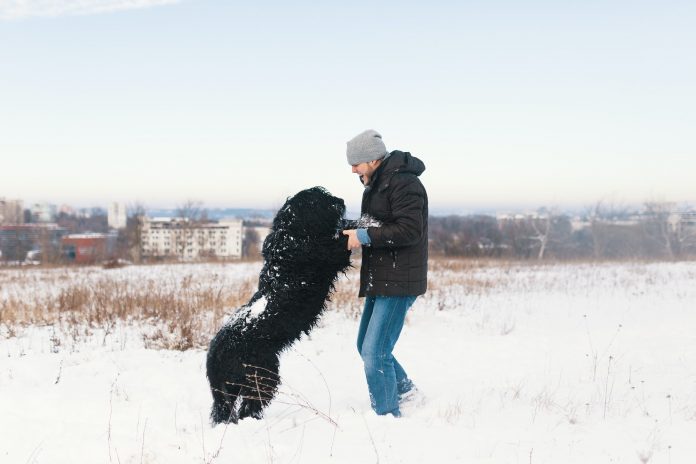 Excited man playing in the snow with his best friend, black dog