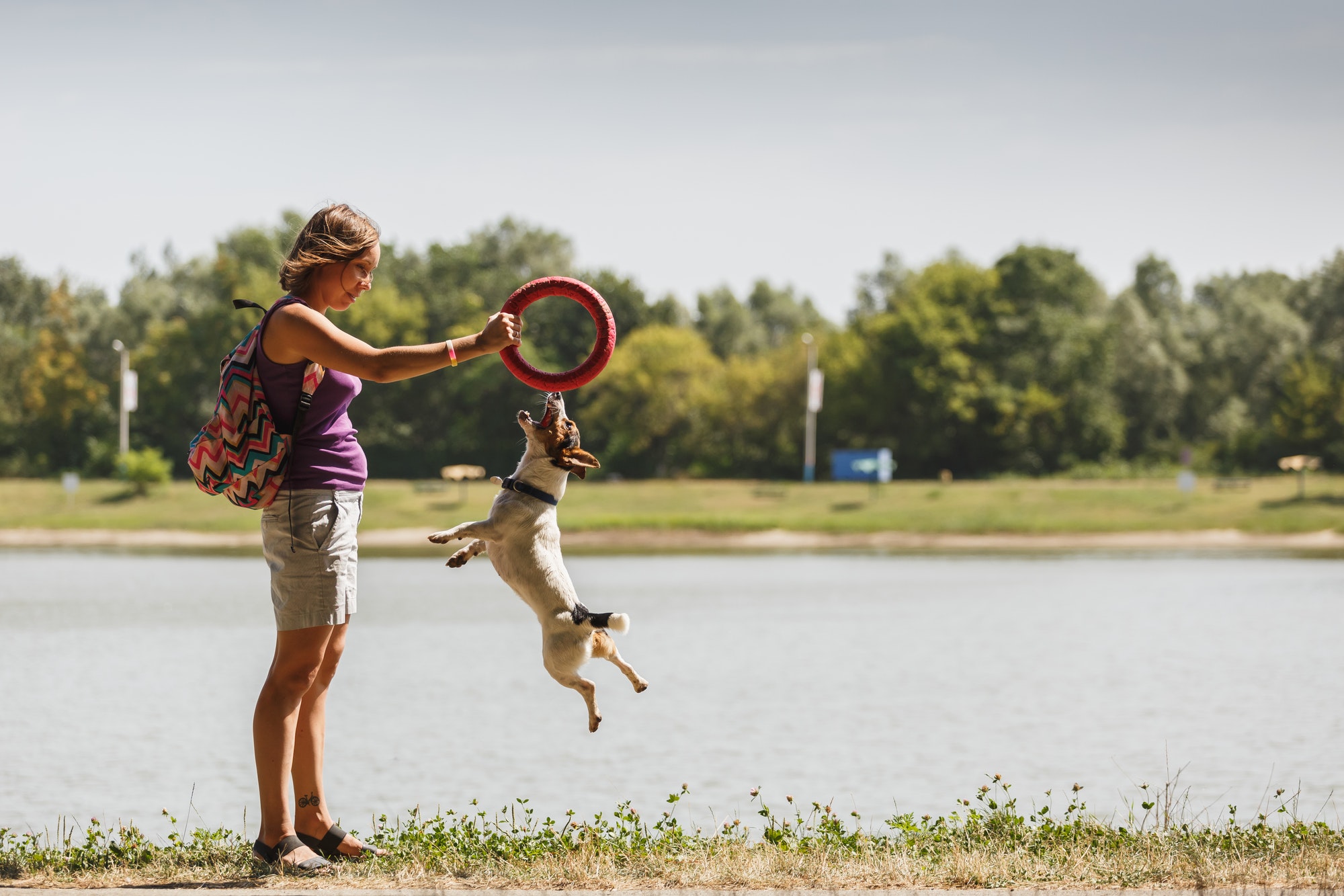 Woman playing with dog on nature