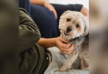 Un bultito en la barriga