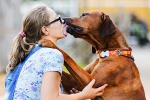 las enfermedades que trasmiten los perros por la saliva son graves 