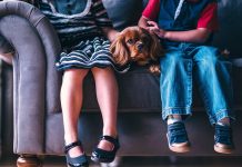 Niños y caprichos, no raza para piso