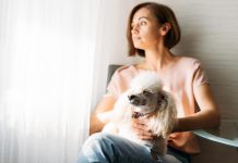 ¿Depresión canina? Depresión canina