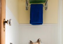 Las heces de mi perro huelen muy fuerte